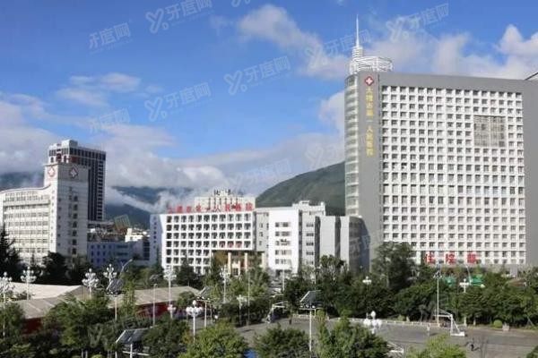 大理市第一人民医院口腔科种植牙价格表www.yadoo.cn20240111307872.jpg