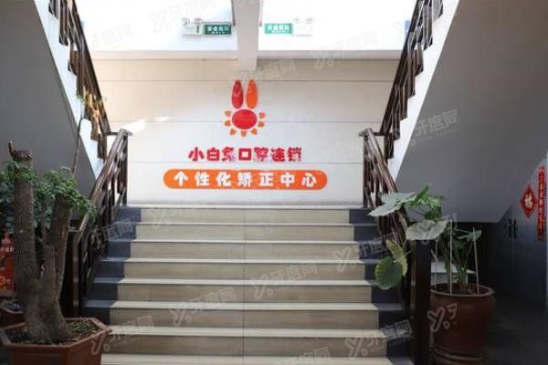 洛阳小白兔口腔医院www.yadoo.cn