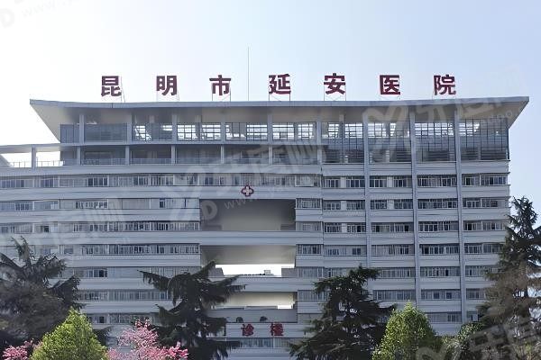 昆明市延安医院口腔科怎么预约挂号?www.yadoo.cn