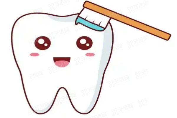 国内再生牙齿已临床是谣言www.yadoo.cn