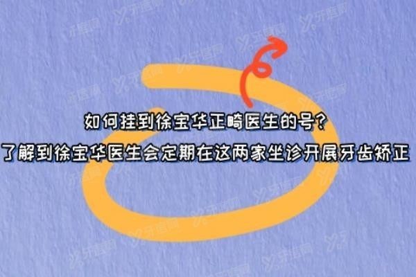 如何挂到徐宝华正畸医生的号www.yadoo.cn