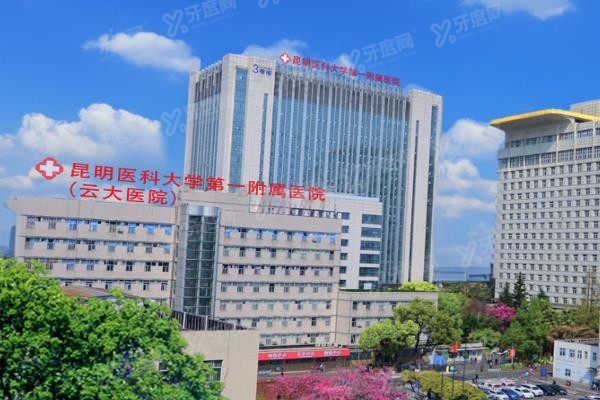 昆明医 科大学第一附 属医院口腔科预约挂号攻略www.yadoo.cn