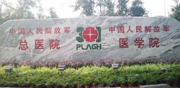 北京301医院种植科哪个大夫好