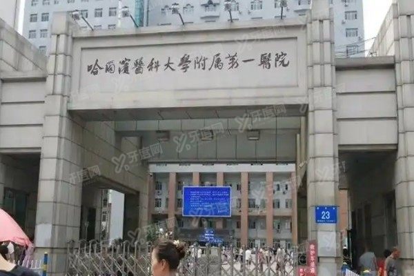 哈医大一院和二院哪个牙科好www.yadoo.cn