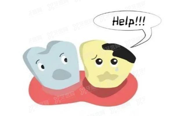 苏州牙博士吸附性牙齿价格表查询
