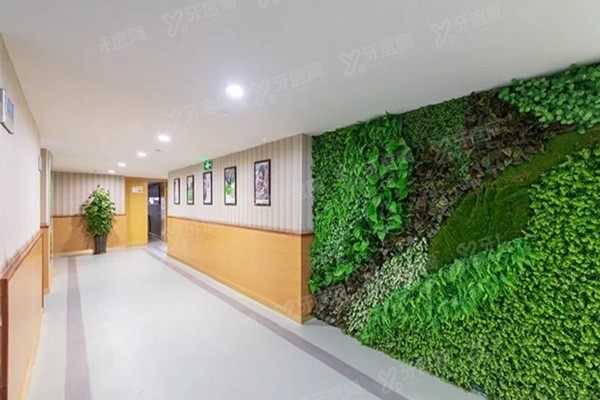 上海摩尔口腔七莘路店预约挂号方式