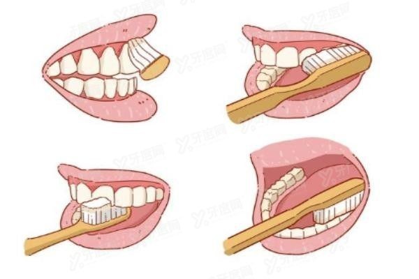 上海青浦森朗口腔医院的医生介绍
