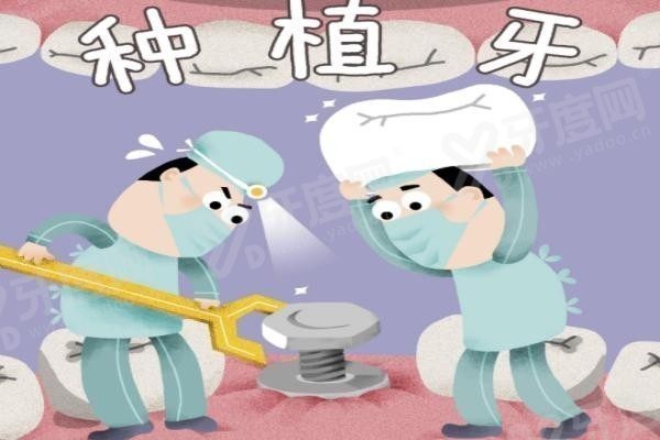 新农合看牙报销比例