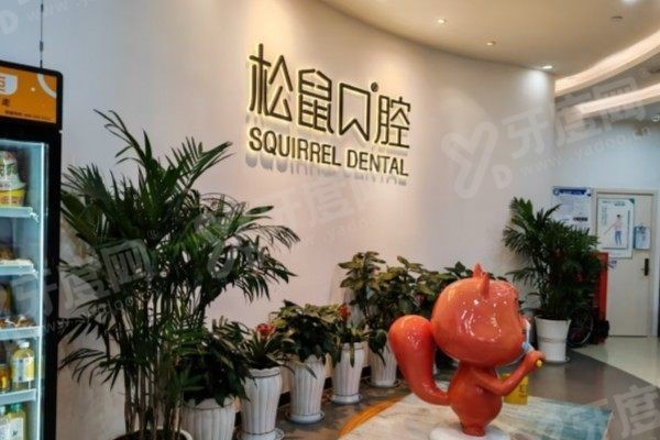 昆明松鼠口腔怎么样 昆明松鼠口腔怎么样