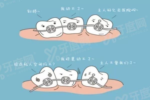 20251204205860.jpg 口腔4.jpg