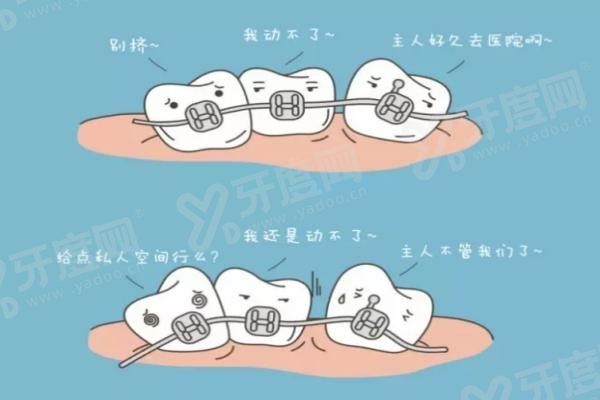 20251216128264.jpg 口腔4.jpg